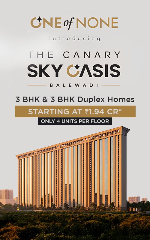 thecanaryskyoasis L1m copy.jpg